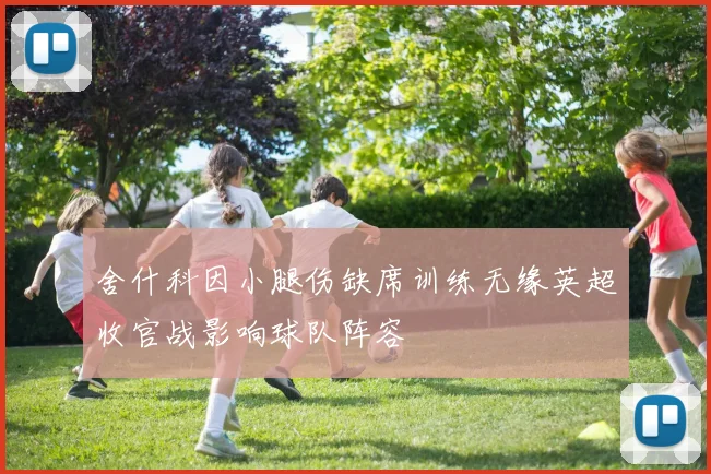 舍什科因小腿伤缺席训练无缘英超收官战影响球队阵容